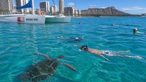 waikiki turtle snorkel catamaran