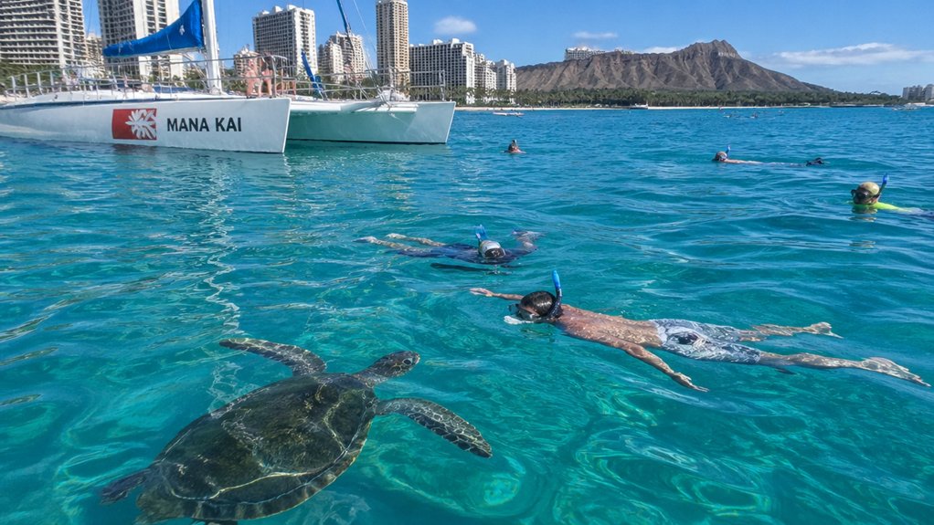 waikiki turtle snorkel catamaran