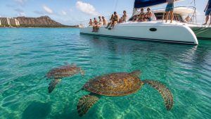 waikiki catamaran sea turtle cruises